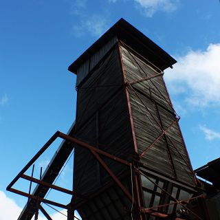 BFM - 05.jpg